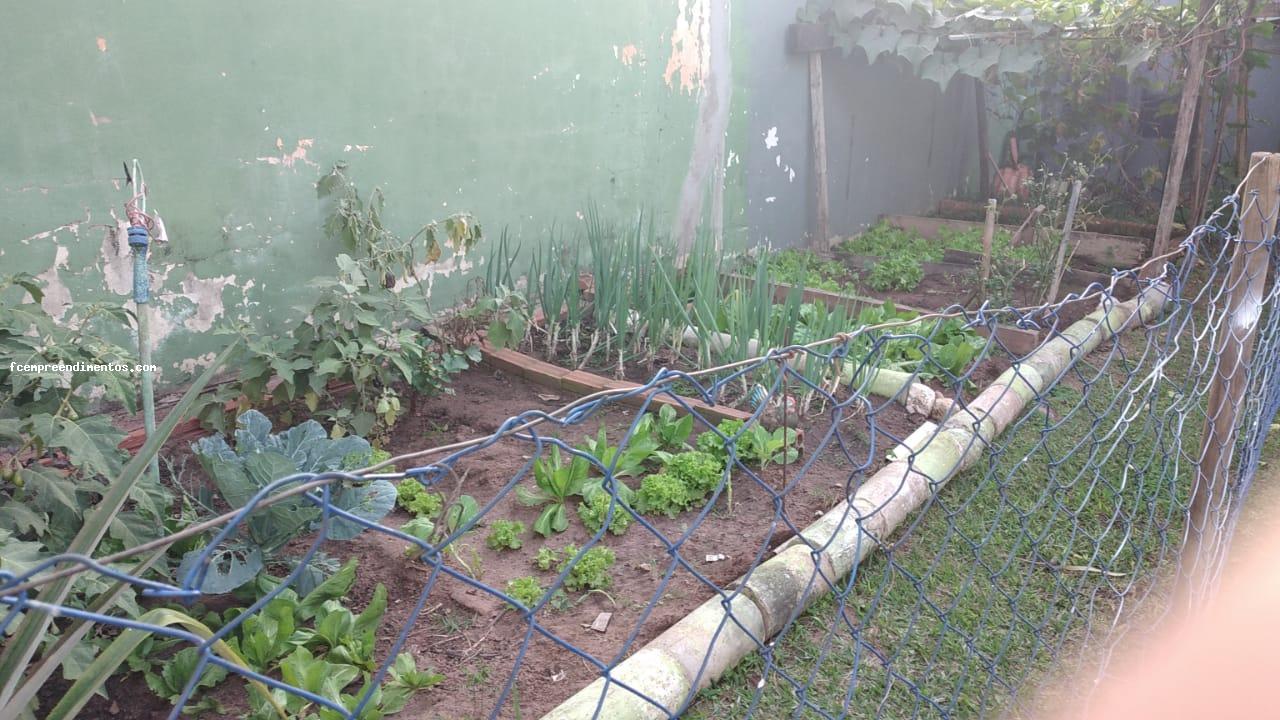 Casa, 3 quartos - Foto 14