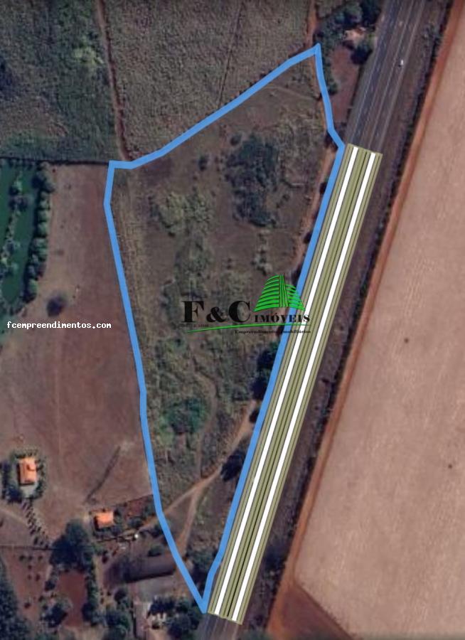 Sítio, 4 hectares - Foto 3