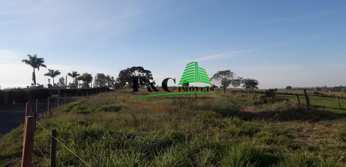 Terreno, 5 hectares - Foto 3