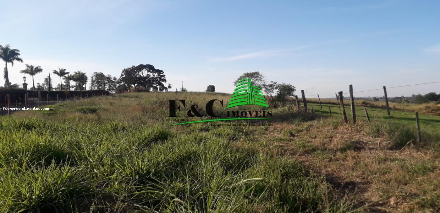 Terreno, 5 hectares - Foto 4