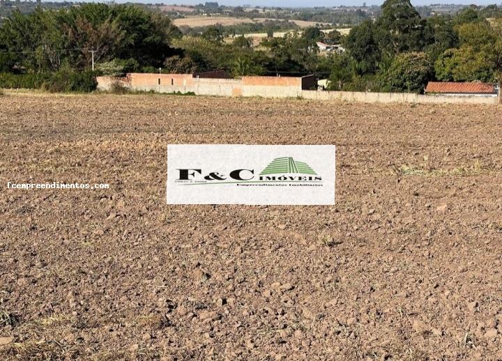 Terreno, 5 hectares - Foto 8