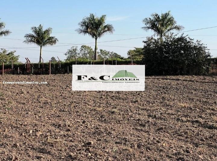Terreno, 5 hectares - Foto 7