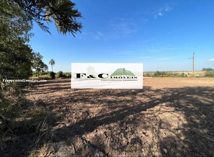 Terreno, 5 hectares - Foto 10