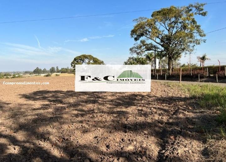 Terreno, 5 hectares - Foto 9