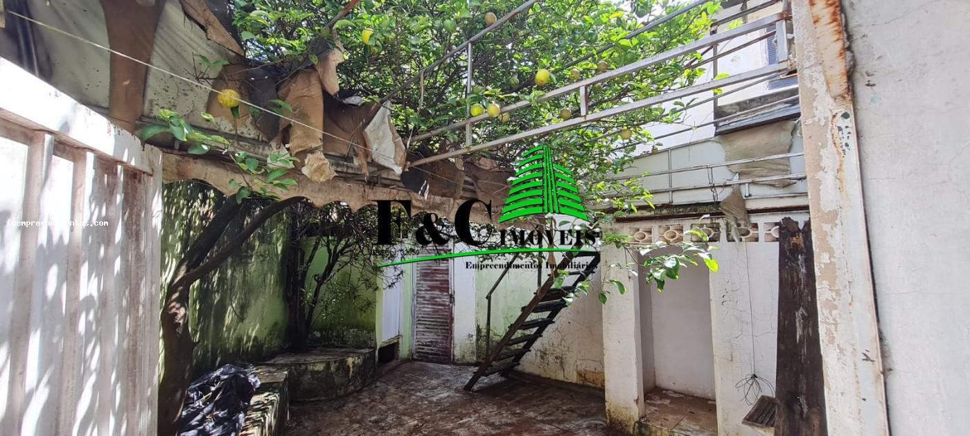 Sala-Conjunto - Foto 8