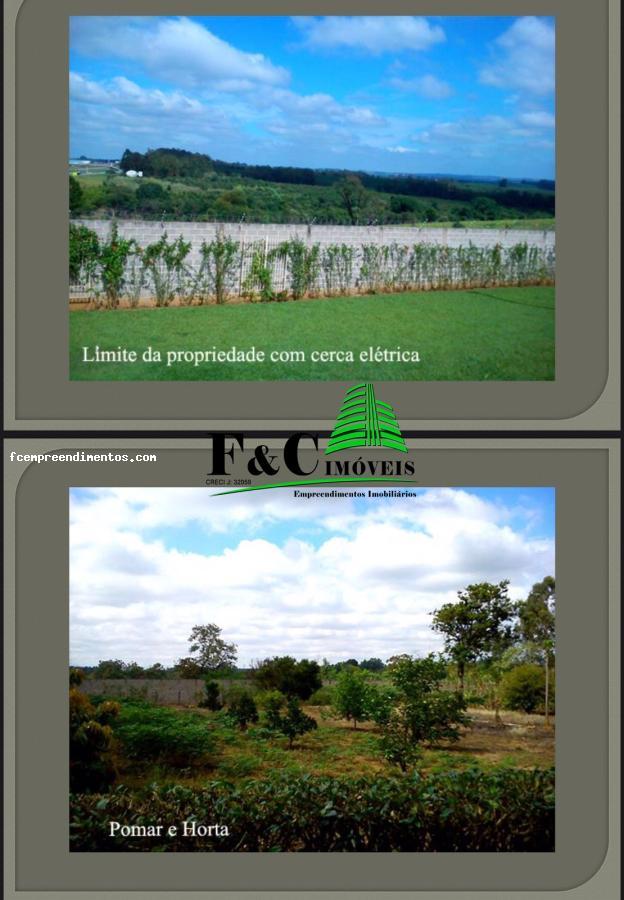 Sítio, 6 quartos, 1 hectares - Foto 11
