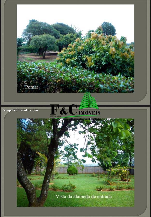 Sítio, 6 quartos, 1 hectares - Foto 12