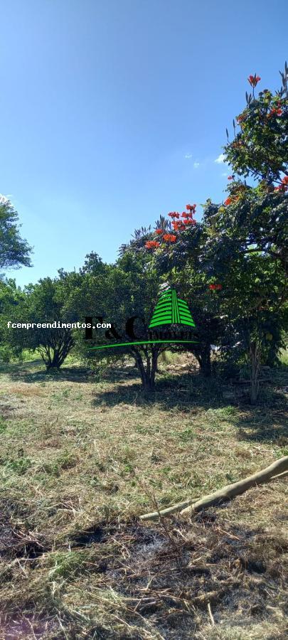 Terreno, 1000 m² - Foto 1