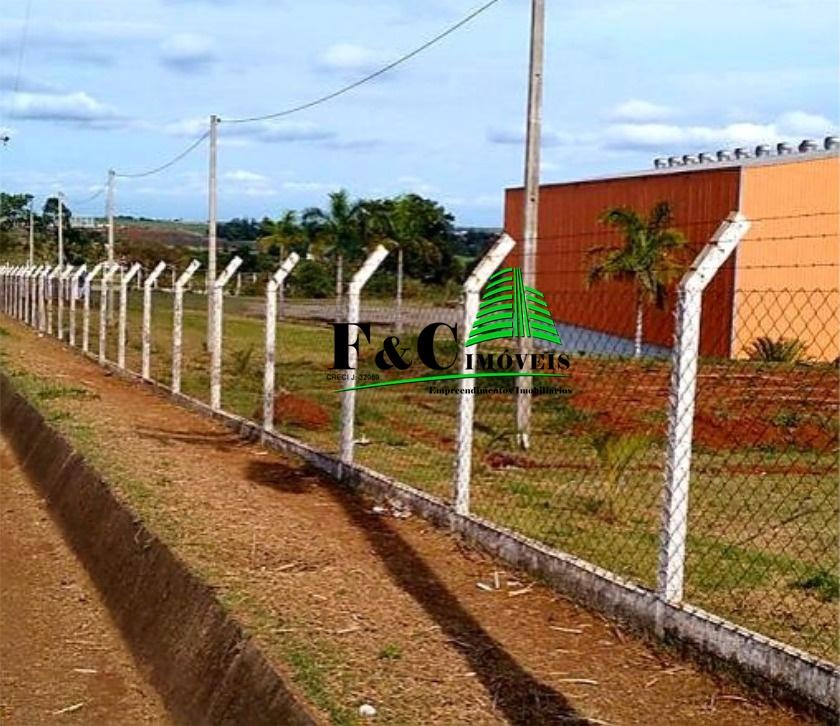 Depósito-Galpão - Foto 4