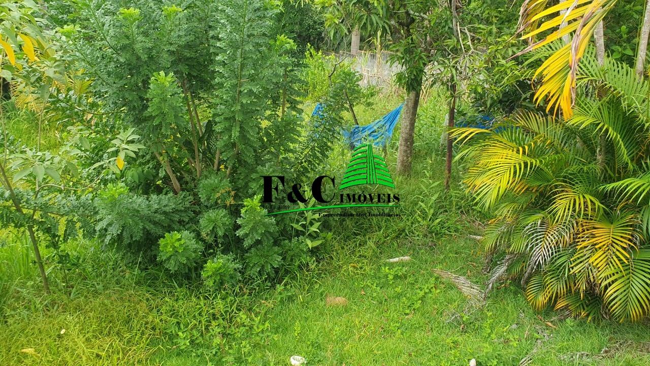 Chácara, 2 quartos, 1500 m² - Foto 24