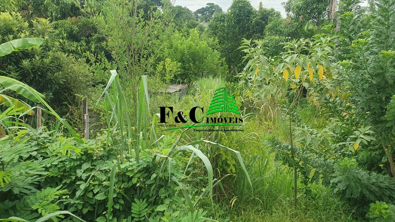 Chácara, 2 quartos, 1500 m² - Foto 25