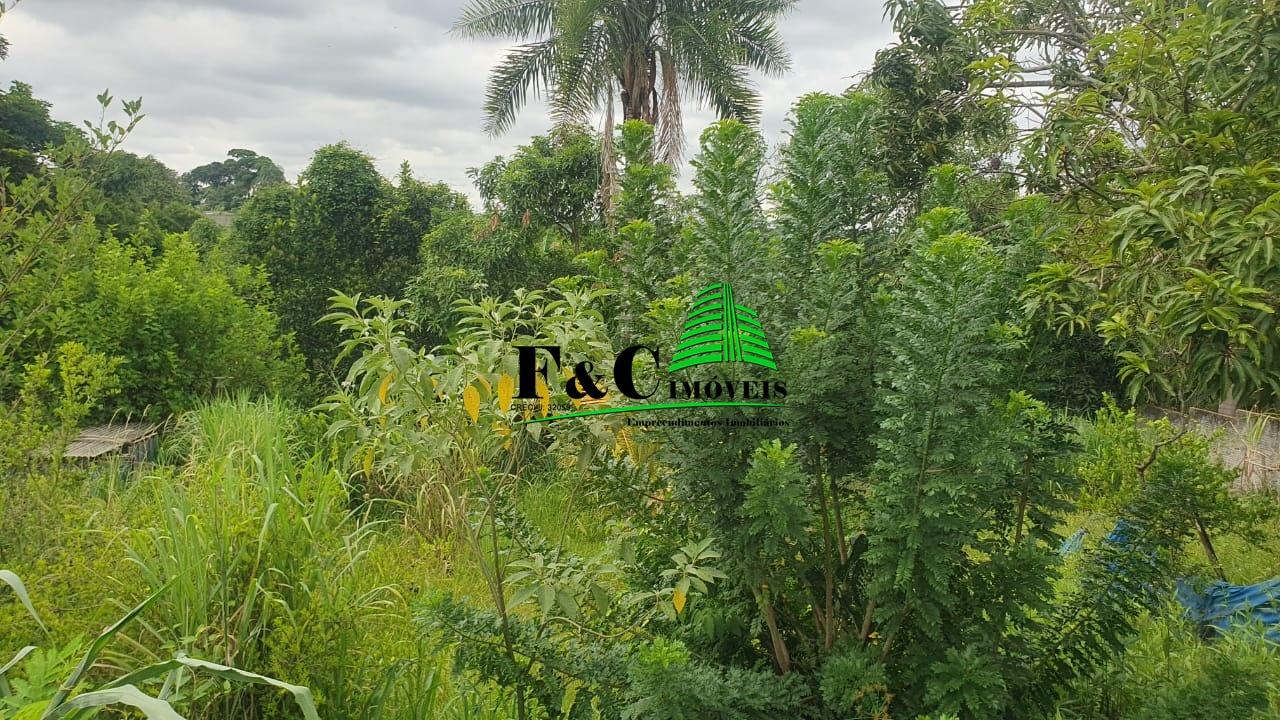 Chácara, 2 quartos, 1500 m² - Foto 26