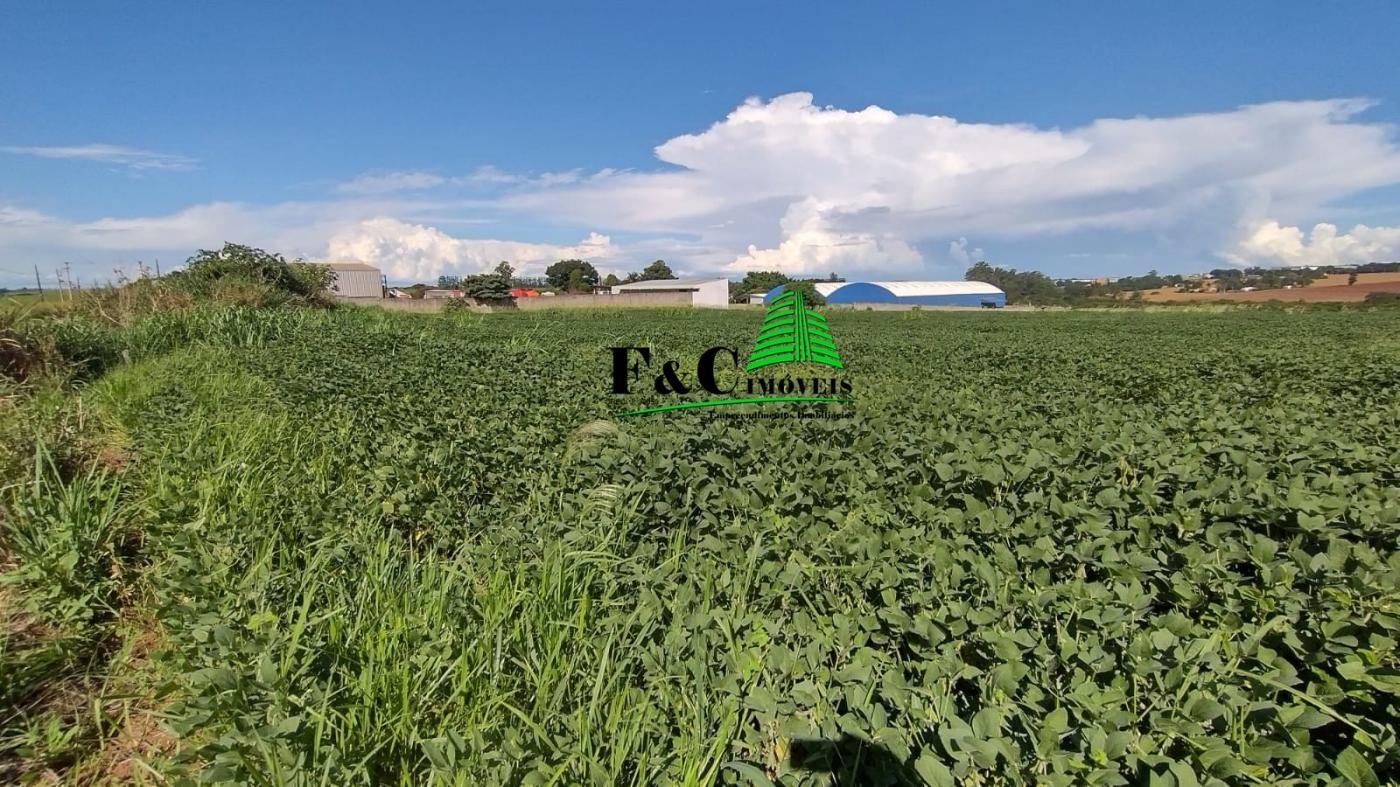 Terreno, 5 hectares - Foto 1