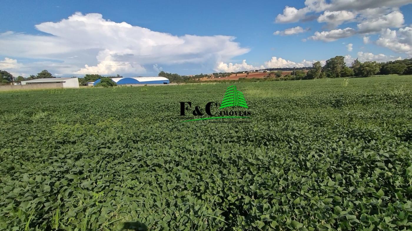 Terreno, 5 hectares - Foto 3