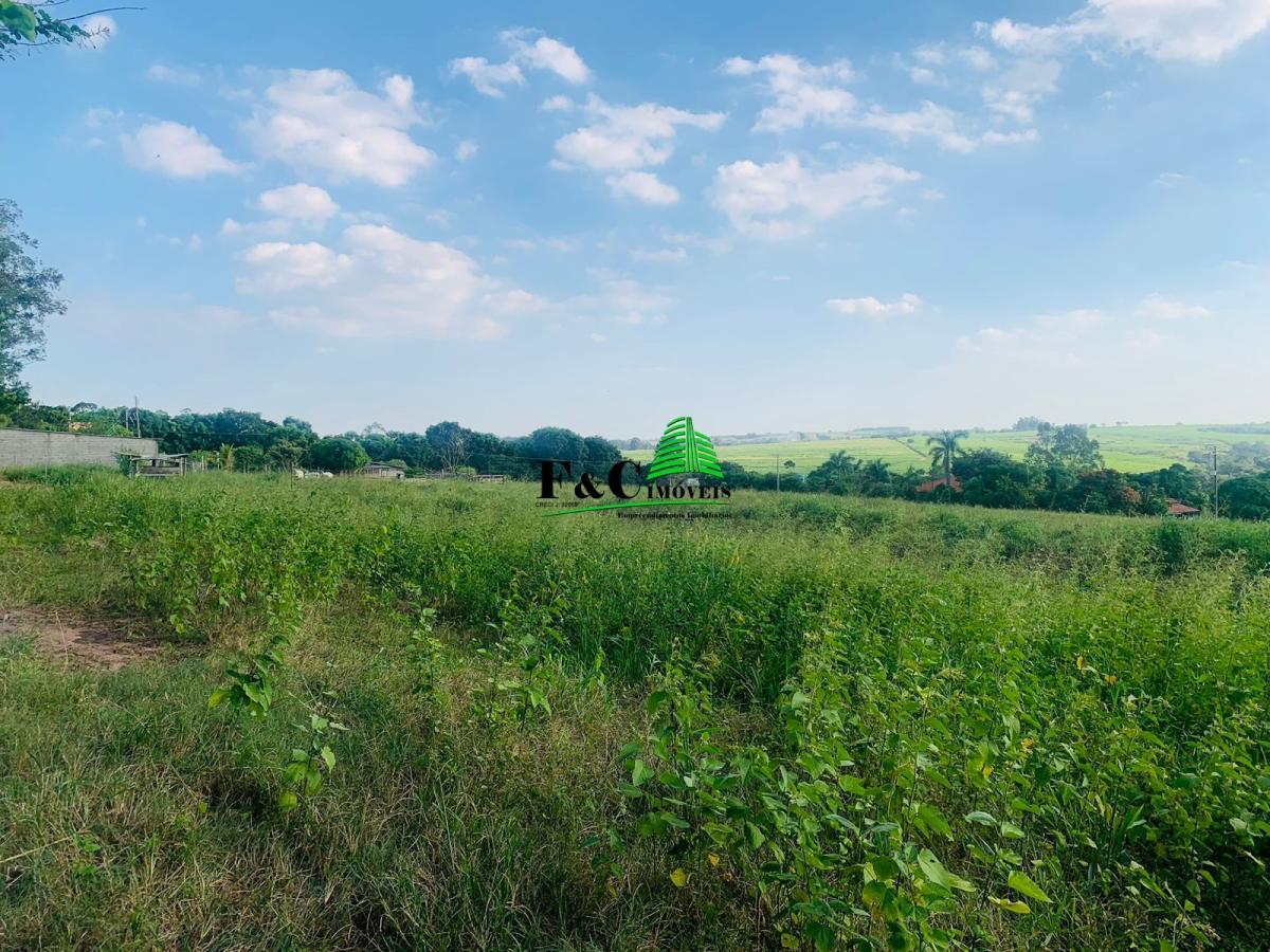 Chácara, 3 quartos, 2 hectares - Foto 8
