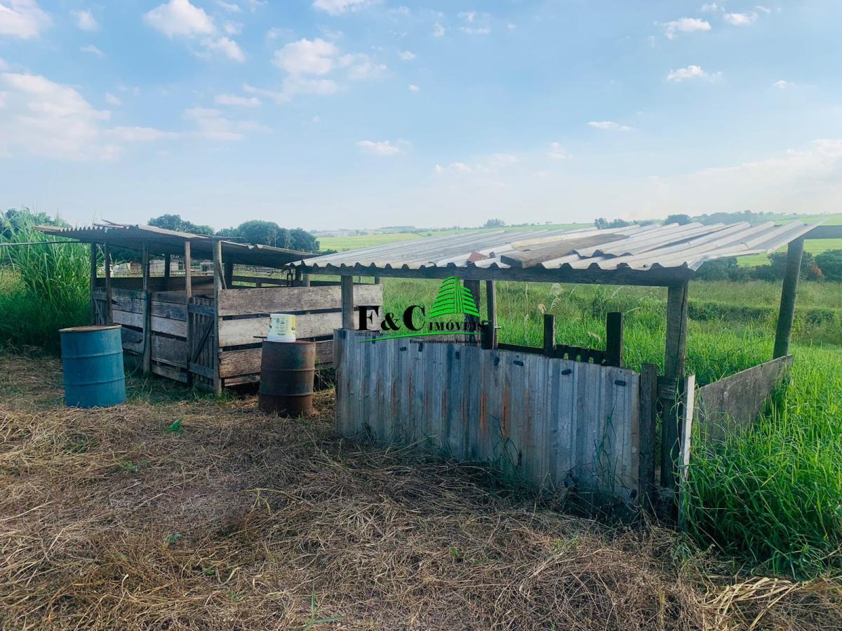 Chácara, 3 quartos, 2 hectares - Foto 9