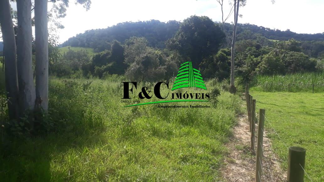 Terreno, 2 hectares - Foto 4