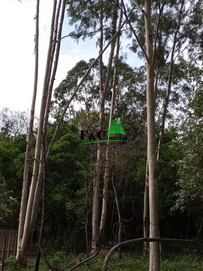 Terreno, 2 hectares - Foto 8