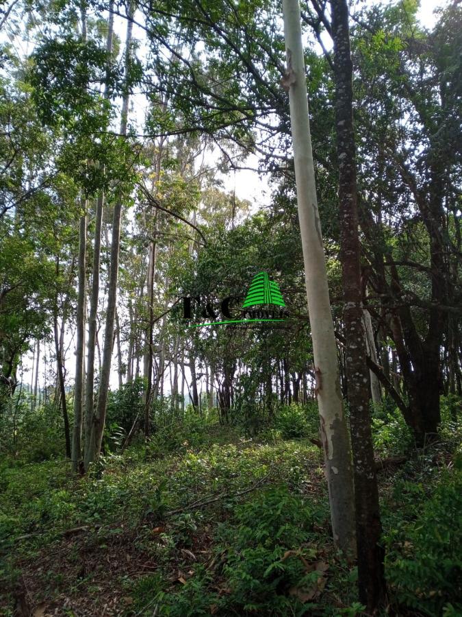 Terreno, 2 hectares - Foto 7