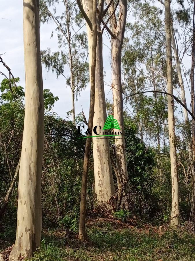 Terreno, 2 hectares - Foto 9