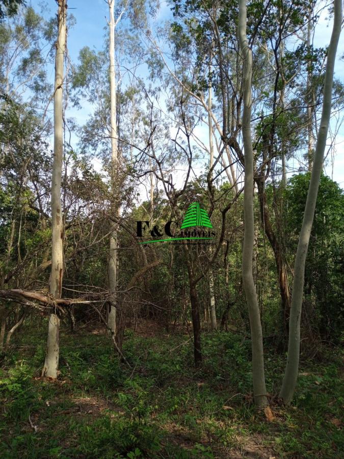 Terreno, 2 hectares - Foto 10