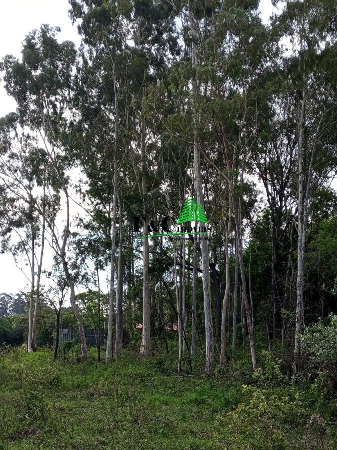 Terreno, 2 hectares - Foto 11