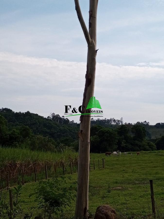 Terreno, 2 hectares - Foto 20