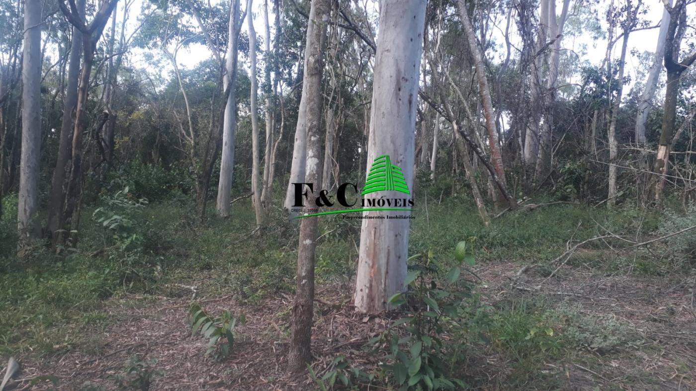 Terreno, 2 hectares - Foto 19