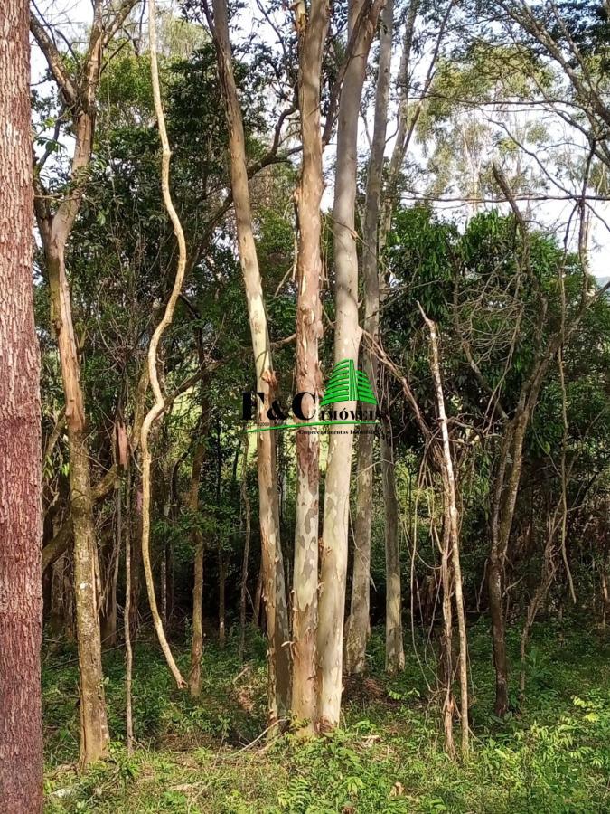 Terreno, 2 hectares - Foto 21