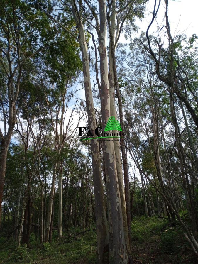 Terreno, 2 hectares - Foto 24