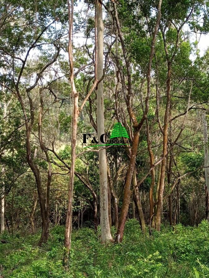 Terreno, 2 hectares - Foto 26