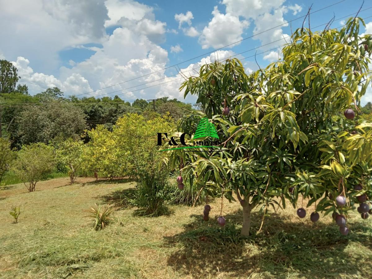 Terreno, 1142 m² - Foto 4