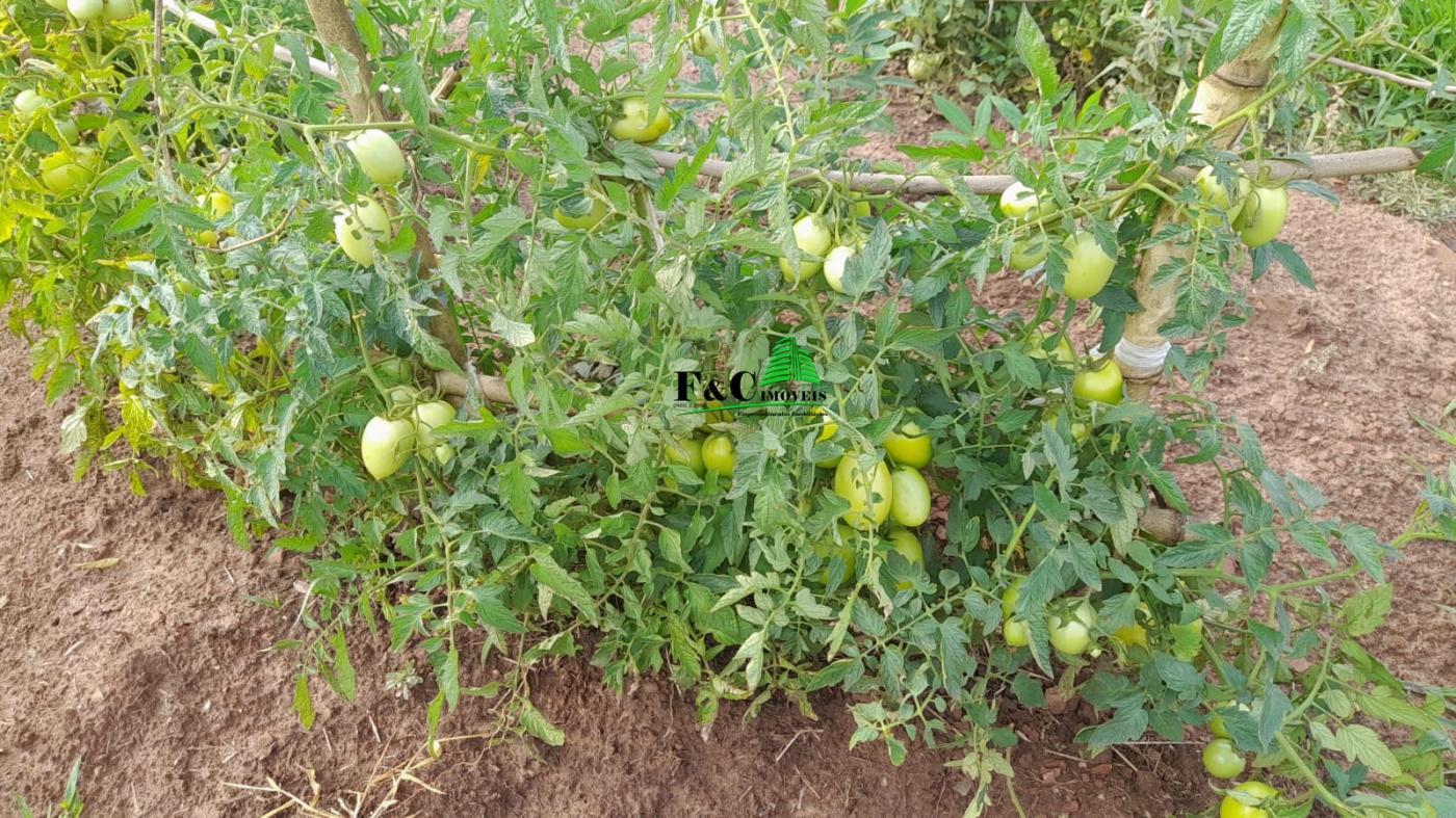 Terreno, 2840 m² - Foto 8