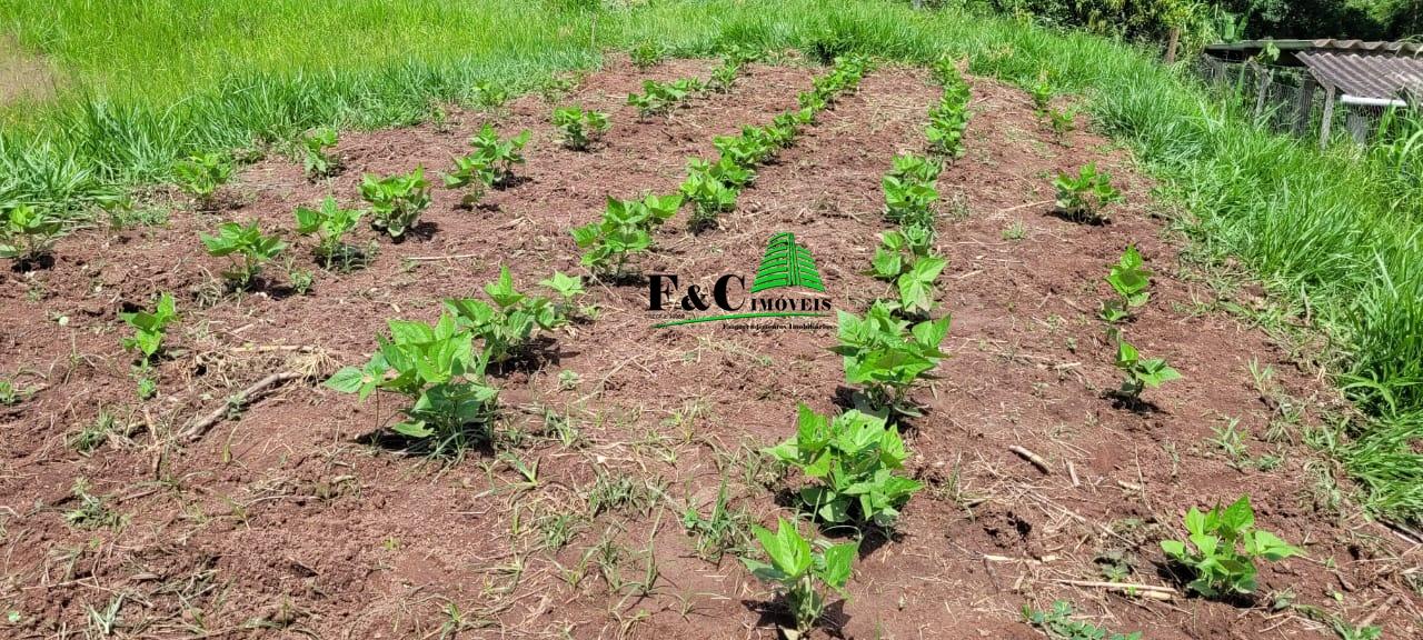 Terreno, 2840 m² - Foto 12