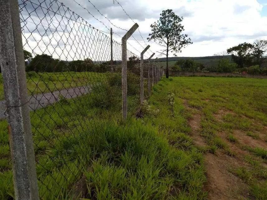 Terreno, 2 hectares - Foto 6