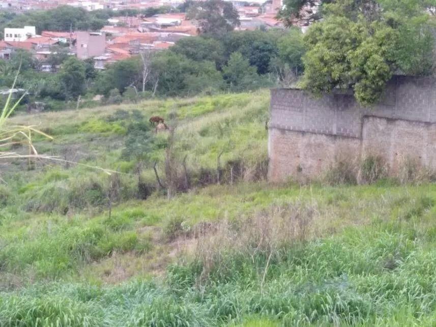 Terreno, 2 hectares - Foto 7