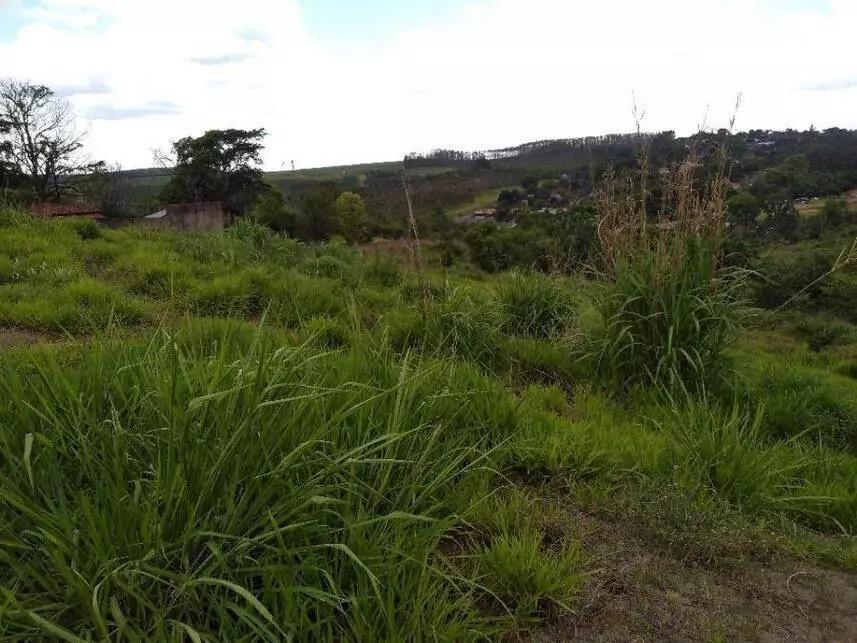 Terreno, 2 hectares - Foto 11