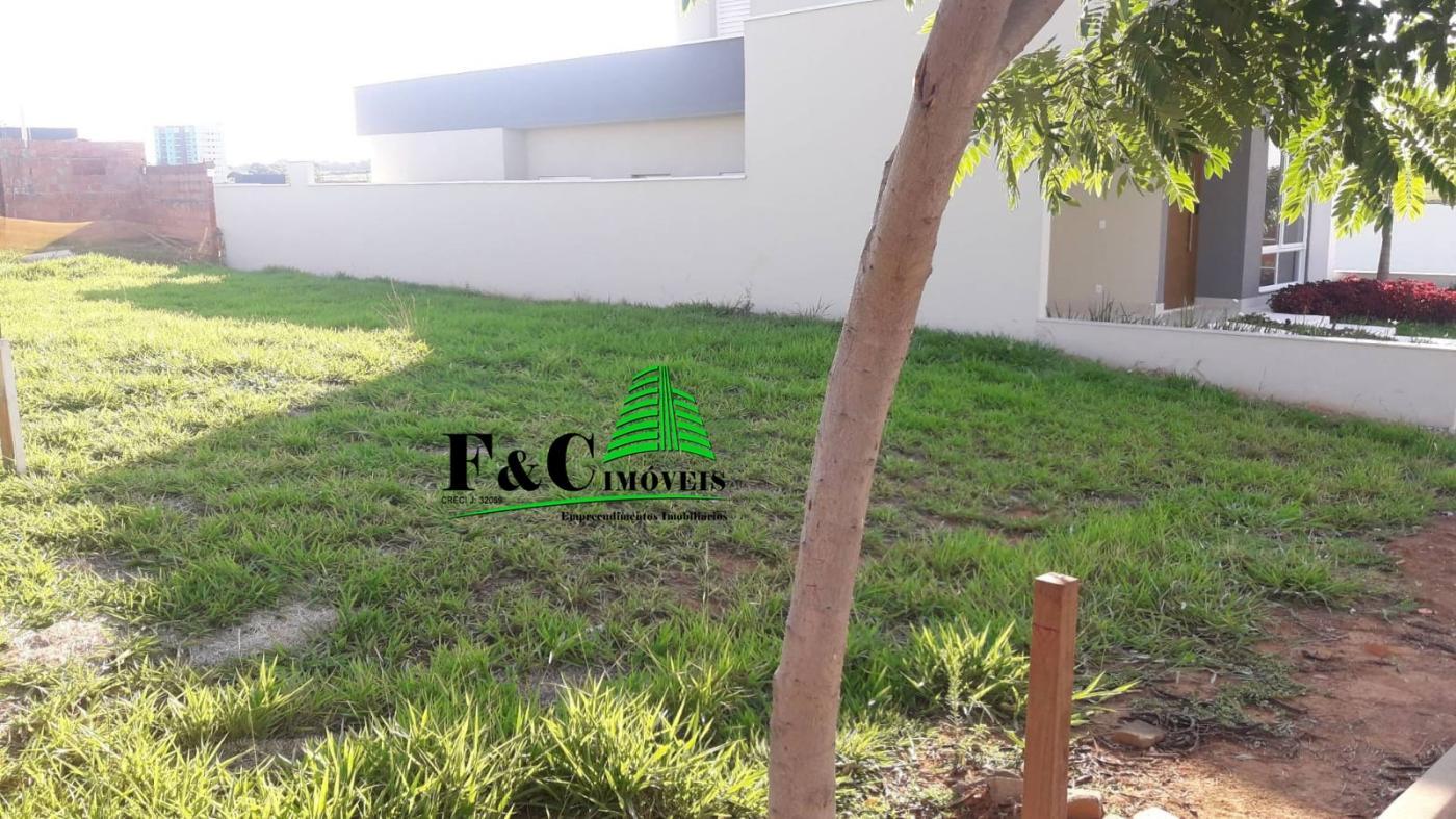 Terreno, 250 m² - Foto 3