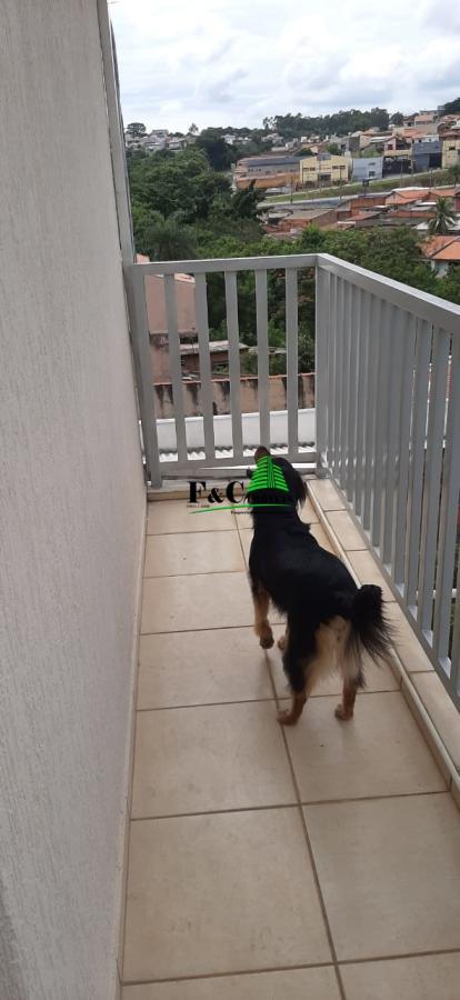 Casa, 4 quartos - Foto 20