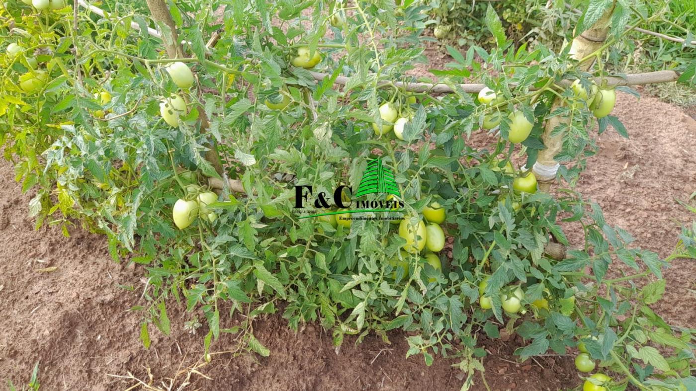 Terreno, 2840 m² - Foto 9