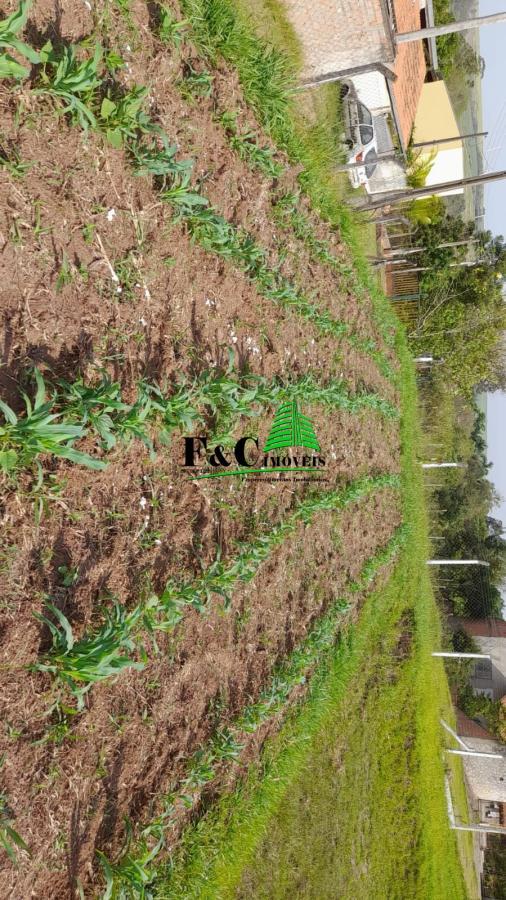 Terreno, 2840 m² - Foto 10