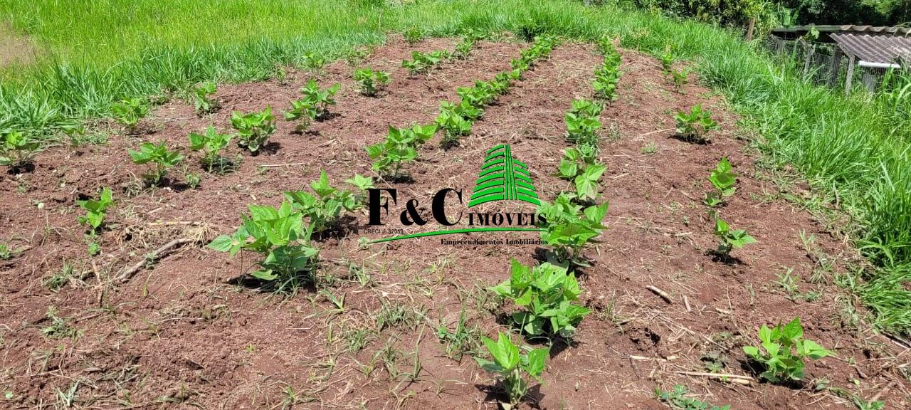 Terreno, 2840 m² - Foto 13