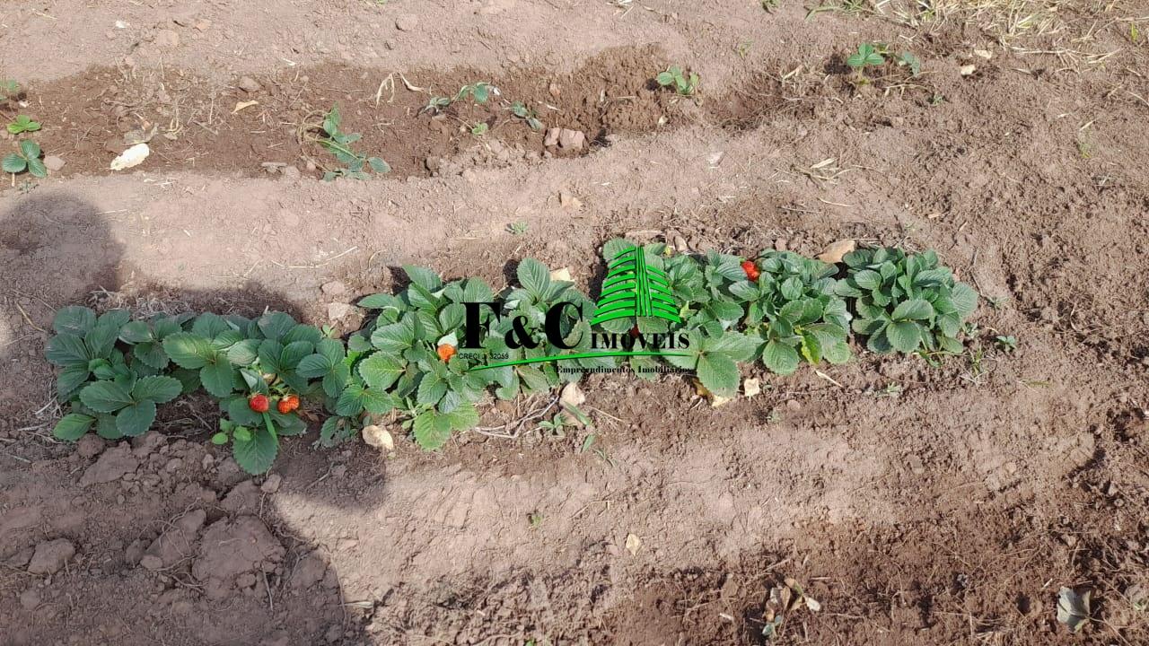 Terreno, 2840 m² - Foto 14