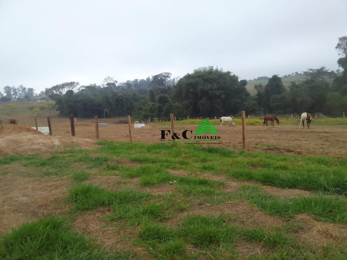 Terreno, 1000 m² - Foto 2