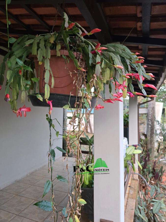 Casa, 6 quartos - Foto 4