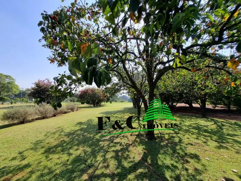 Chácara, 8 quartos, 2 hectares - Foto 4