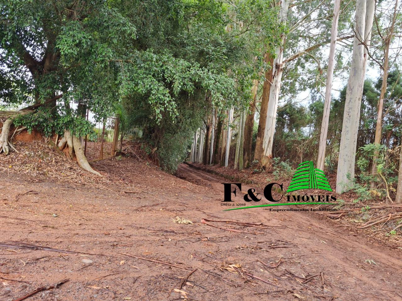 Terreno, 4 hectares - Foto 8