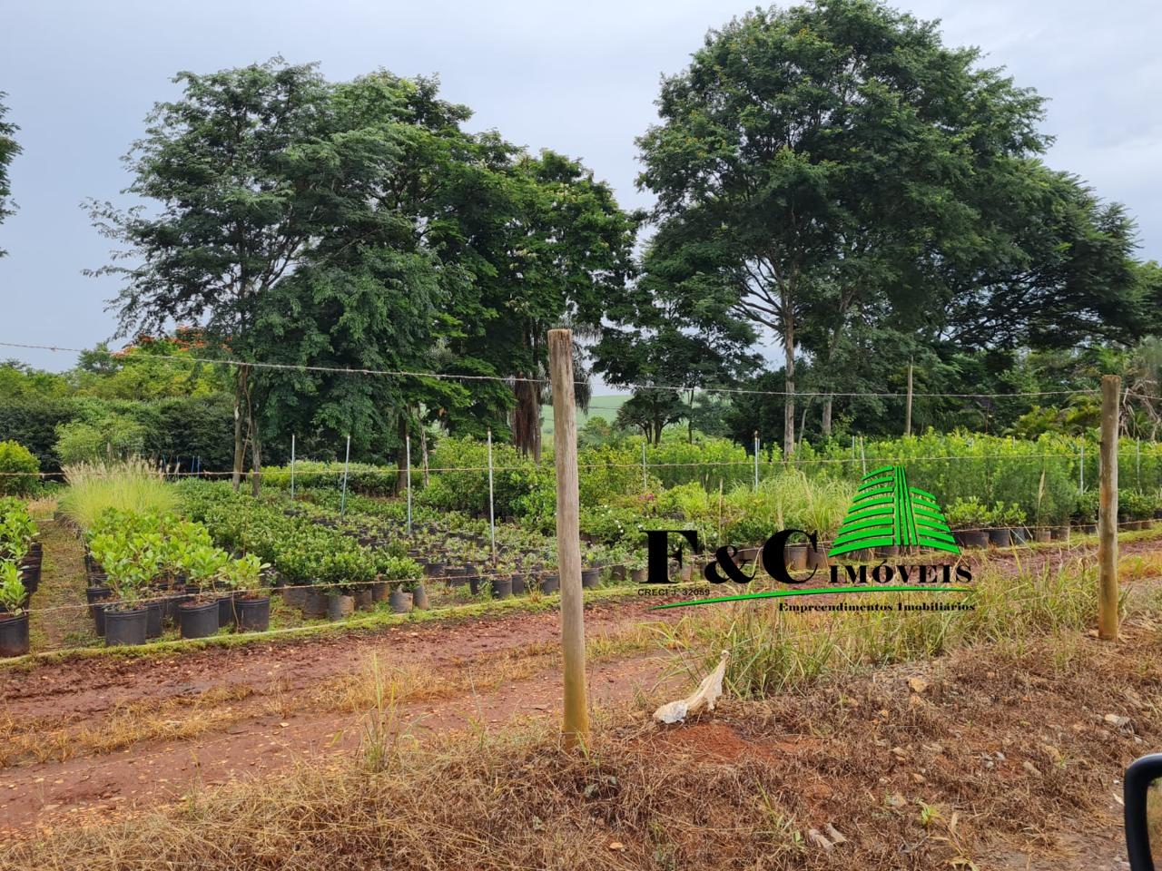 Terreno, 4 hectares - Foto 5