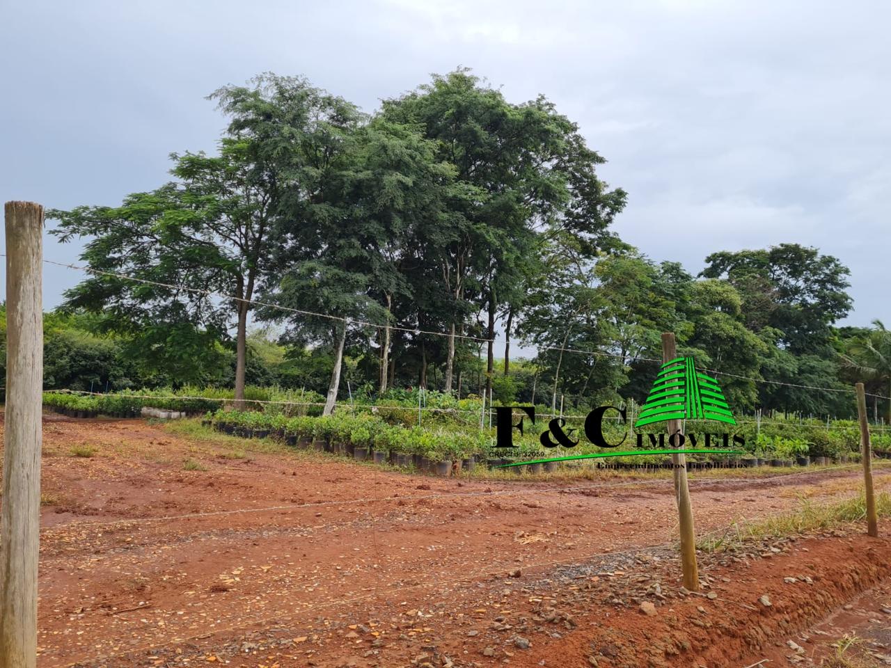 Terreno, 4 hectares - Foto 9