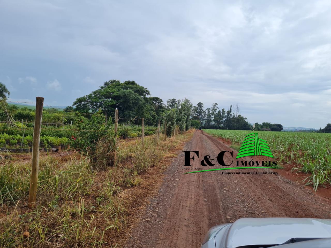 Terreno, 4 hectares - Foto 4